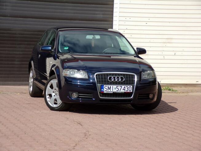 Audi A3 Klimatronic /Gwarancja /1,9 TDI/105KM /2007R /Lift