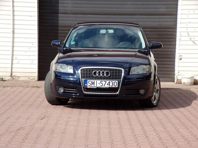 Audi A3 Klimatronic /Gwarancja /1,9 TDI/105KM /2007R /Lift