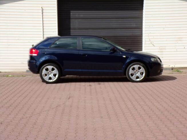 Audi A3 Klimatronic /Gwarancja /1,9 TDI/105KM /2007R /Lift