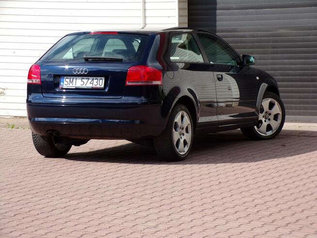 Audi A3 Klimatronic /Gwarancja /1,9 TDI/105KM /2007R /Lift