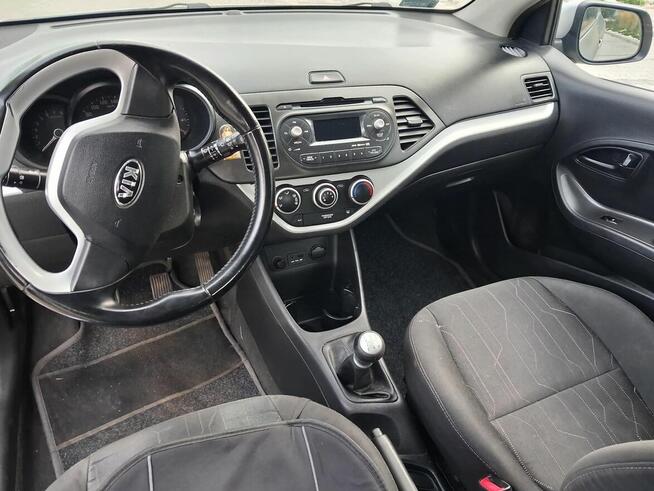 Kia picanto