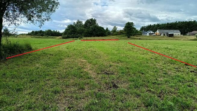 Łąka Kosiory 0,77 ha - częściowo zadrzewiona i z moczarami
