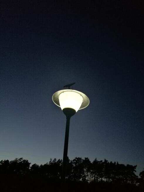 Sprzedam lampy parkowe
