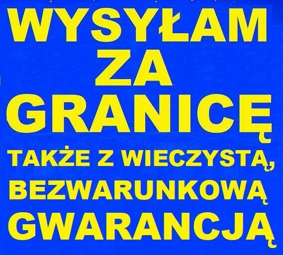 GRZYBEK TYBETAŃSKI w mini-lodówce! wiejskie mleko mleku 30g