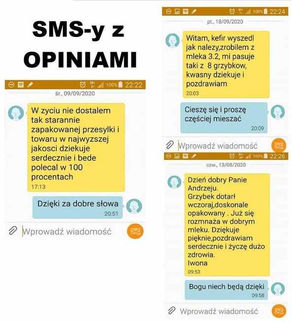 GRZYBEK TYBETAŃSKI w mini-lodówce! wiejskie mleko mleku 30g