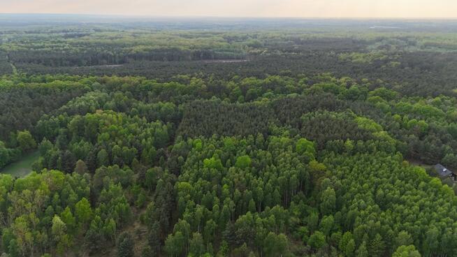 Działka z domem letnim i dużą działką leśną