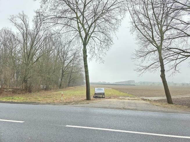 Działki inwestycyjno-budowlane z WZ i potencjałem usługowym
