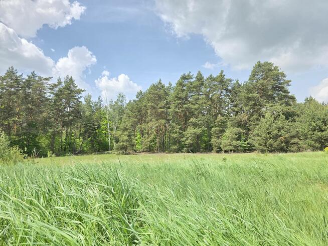 Działka budowlana 3000m2 | Bieńki Śmietanki