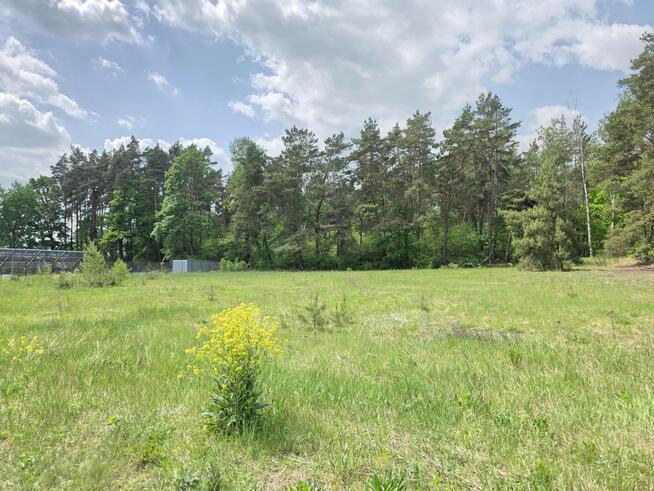 Działka budowlana 3000m2 | Bieńki Śmietanki