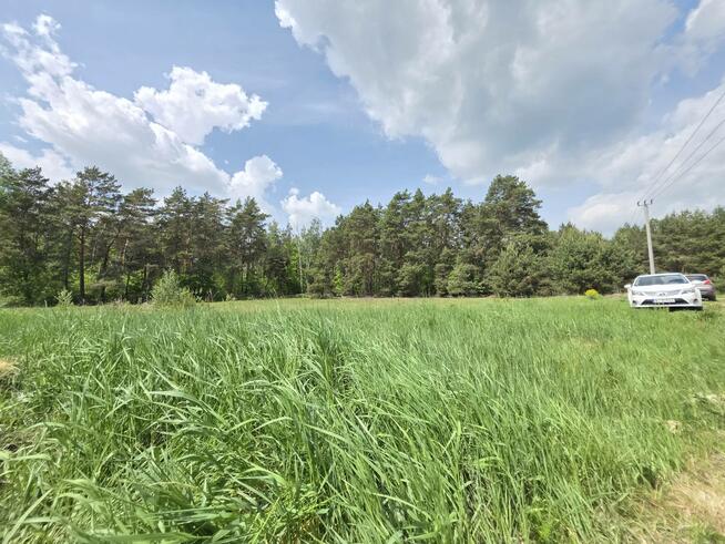 Działka budowlana 3000m2 | Bieńki Śmietanki