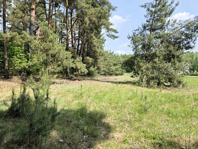 Działka budowlana 3000m2 | Bieńki Śmietanki