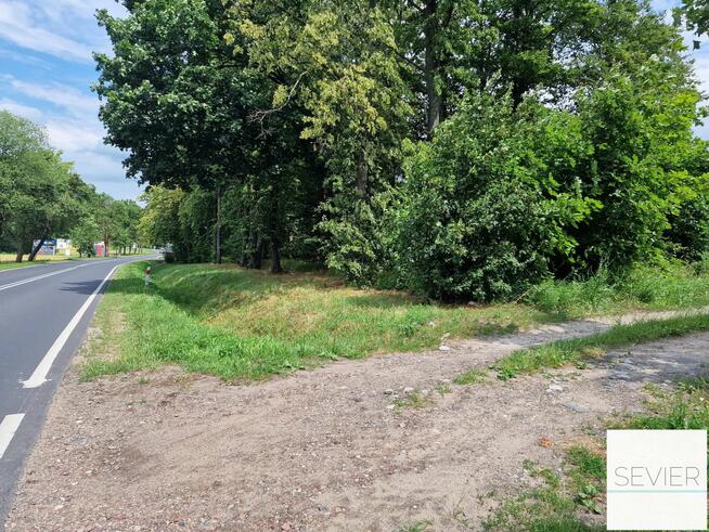 DZIAŁKA SIEDLISKOWA 3389 m² Z WARUNKAMI ZABUDOWY