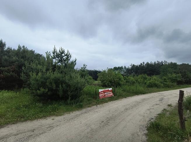 Na sprzedaż działka budowlana - Żdżary (Czarna)