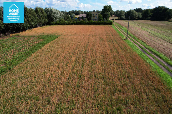 Działka budowlana Piaskowiec gm. Ostaszewo,