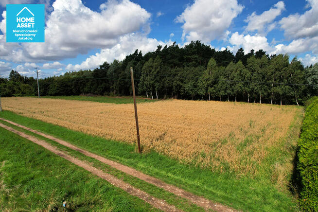 Działka budowlana Piaskowiec gm. Ostaszewo,