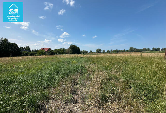 Działka budowlana Wiślinka gm. Pruszcz Gdański, Sadowa