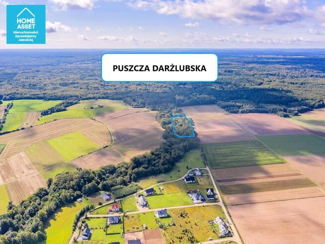 Działka budowlana Werblinia gm. Puck, Leśna