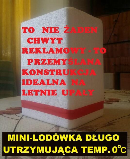 GRZYBEK TYBETAŃSKI w mini-lodówce! wiejskie mleko mleku 30g