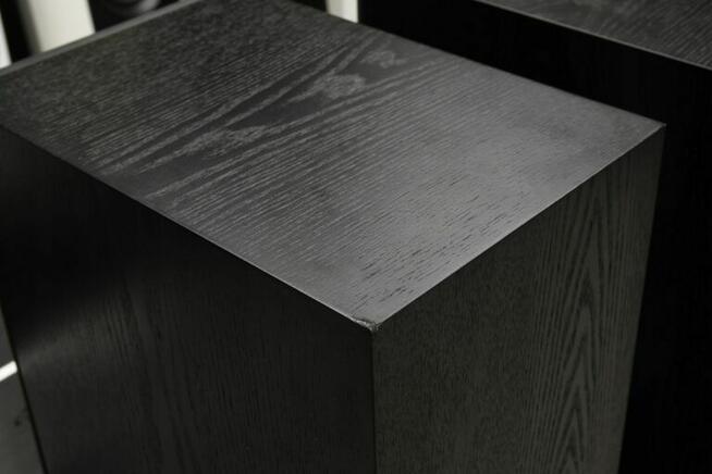 Epos Elan 35 – kolumny podłogowe 93 dB, Black Oak