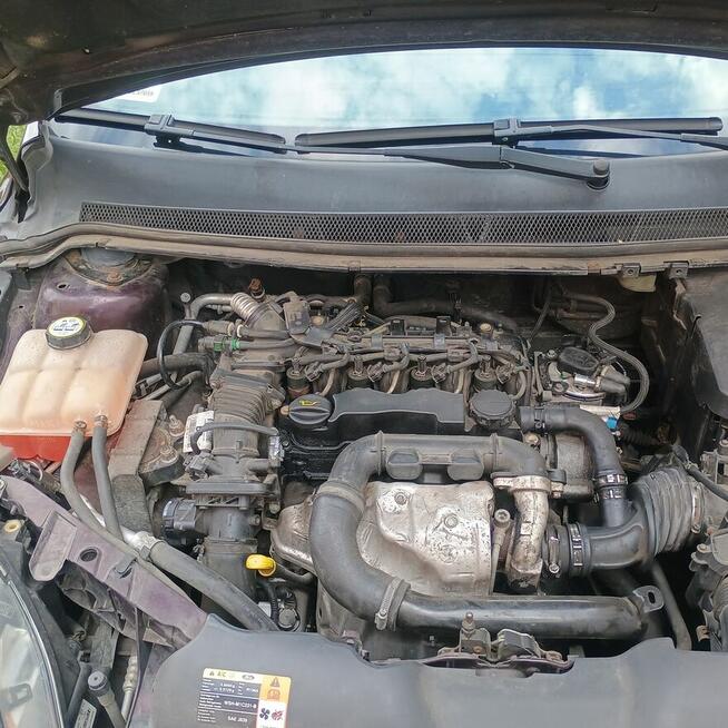 Ford Focus Zamiana