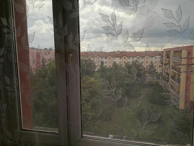 Ładna kawalerka na OKM w Mławie