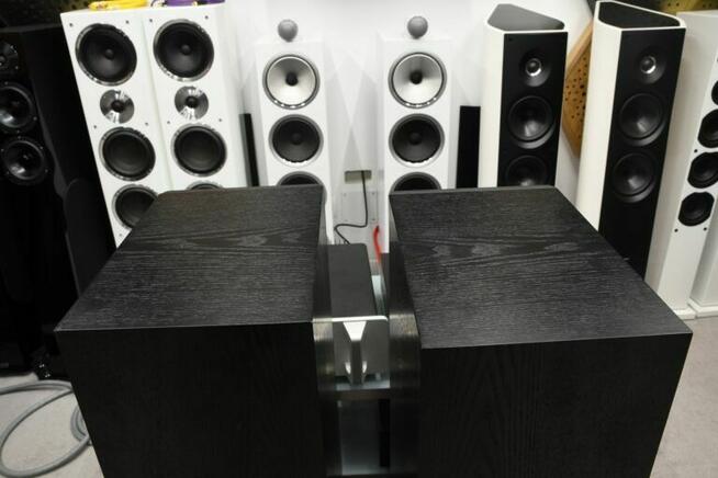 Epos Elan 35 – kolumny podłogowe 93 dB, Black Oak