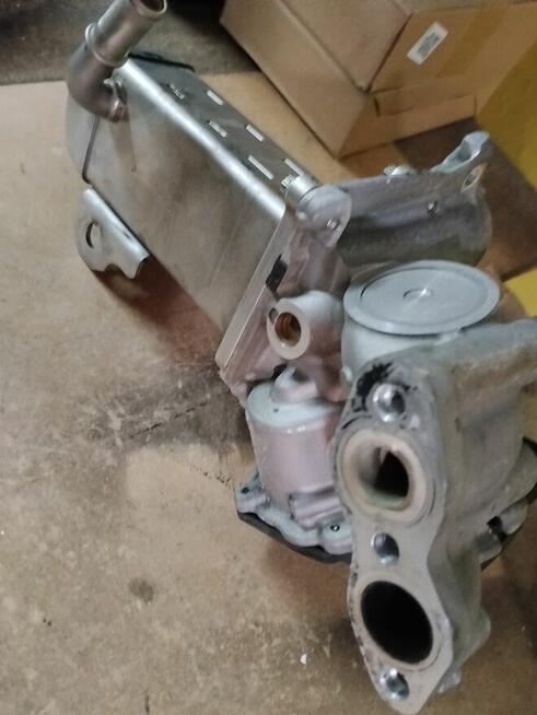 EGR -Ford