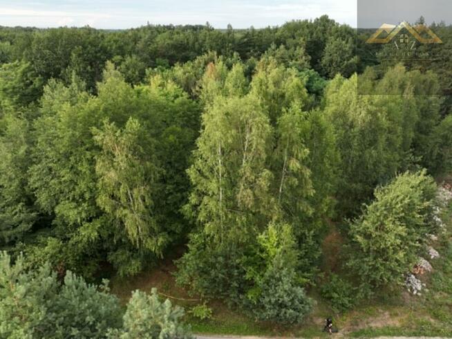 Działka rolno-budowlana Dąbrowa Tarnowska