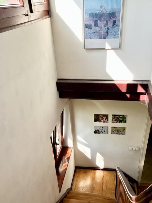 Willa miejska 230m2 I Karłowice I działka 1198m2