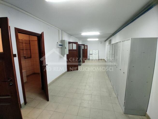 Lokal użytkowy Lublin Kalinowszczyzna, Centrum, Tysiąclecia