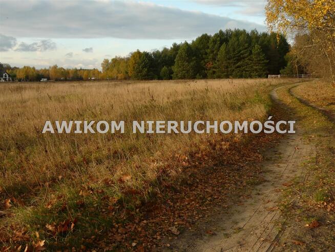 Działka usługowa Puszcza Mariańska