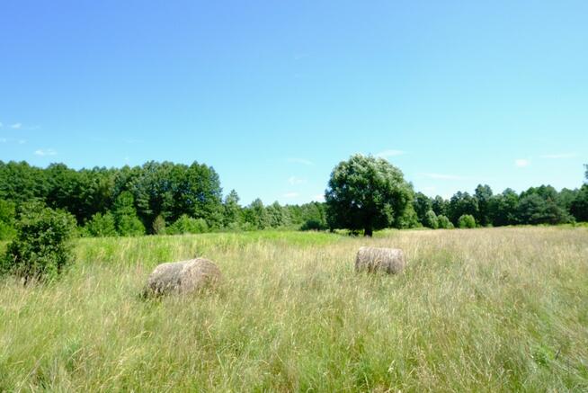 Działka rolna Kampinos,