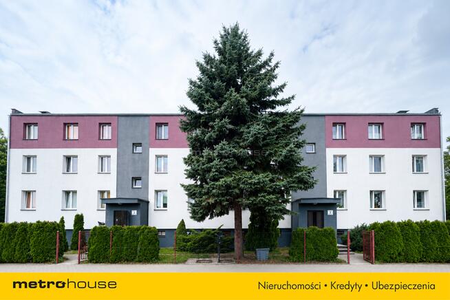 Mieszkanie 64 m² 3 pokoje Czernikowo