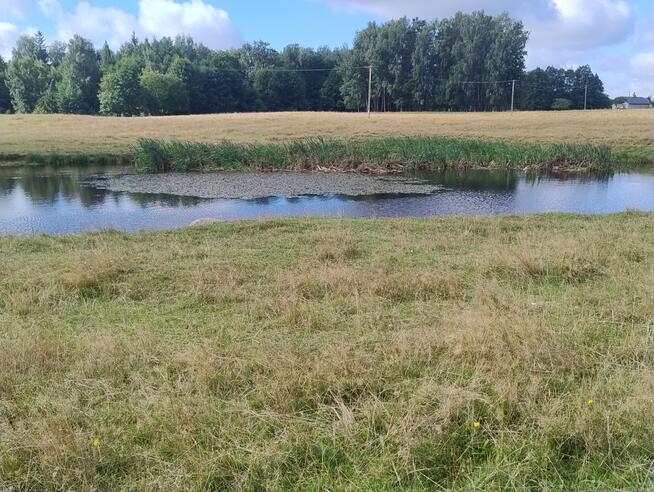 Mazury Puszcza Borecka Działka Rolna 12,4469 ha