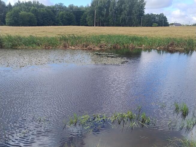 Mazury Puszcza Borecka Działka Rolna 12,4469 ha