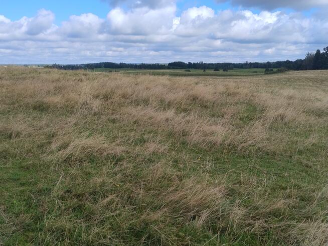 Mazury Puszcza Borecka Działka Rolna 12,4469 ha