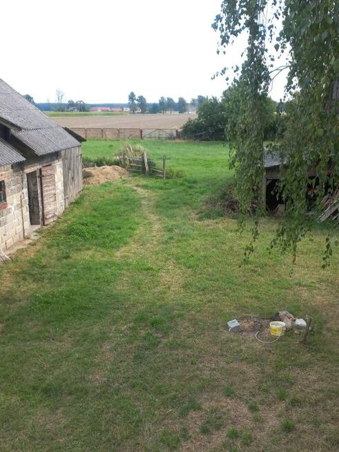 Gospodarstwo rolne w Lututowie 3,75 ha z domem