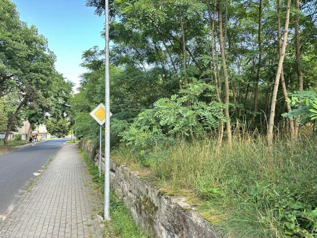 Działka budowlana Nowogród Bobrzański, Winiary