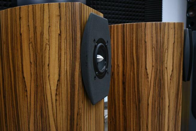 Audium Comp 5.2 Passive – kolumny Zebrano, para
