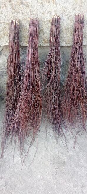 Miotły brzozowe nowe