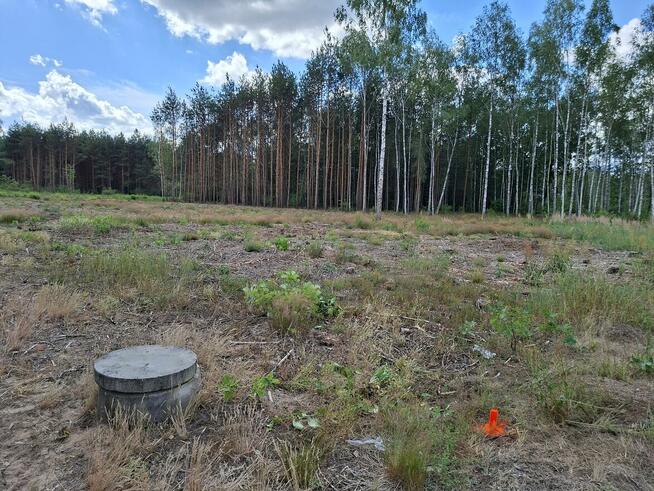 Działki 20ar, 33ar z wydanymi WZ - Dąbrówka gm. Ulanów
