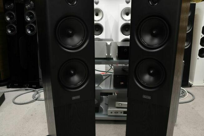 Epos Elan 35 – kolumny podłogowe 93 dB, Black Oak