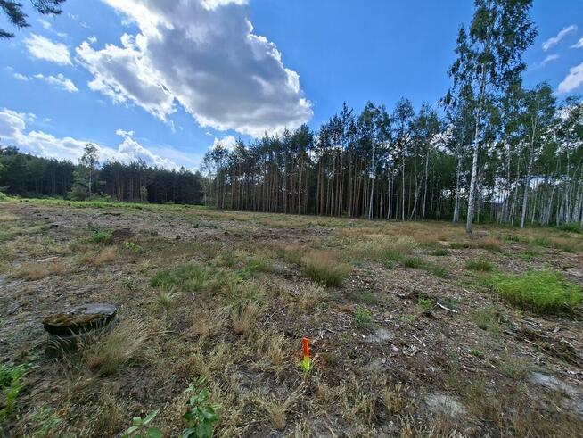 Działki 20ar, 33ar z wydanymi WZ - Dąbrówka gm. Ulanów