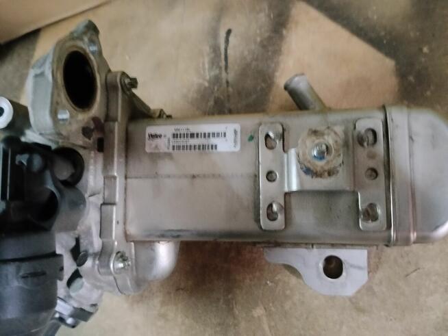 EGR -Ford