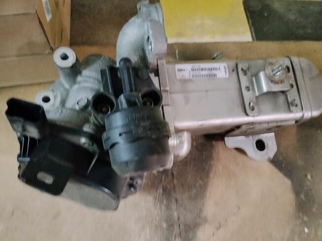 EGR -Ford