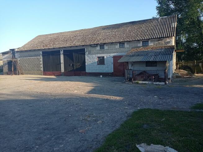 Gospodarstwo 3,20 ha + dom 250 m² | fotowoltaika | DK91 | op