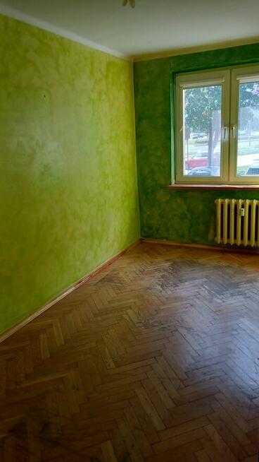 3 pokoje na Zwierzynieckiej – parter, 43,5 m²
