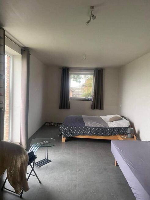 praca Belgia truskawka