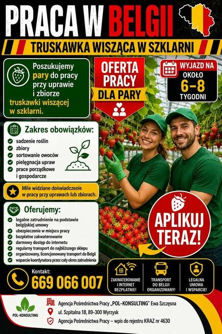 praca Belgia truskawka