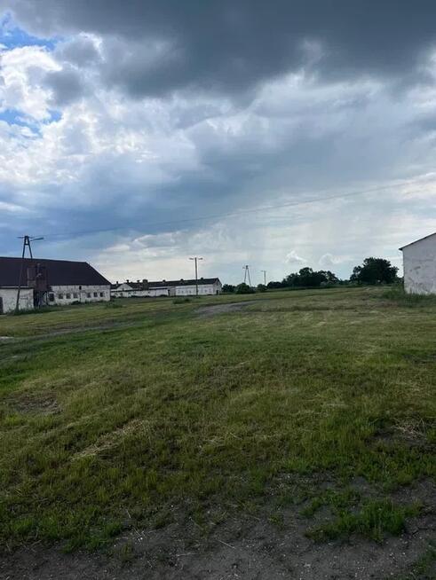Ferma trzoda/drobiu